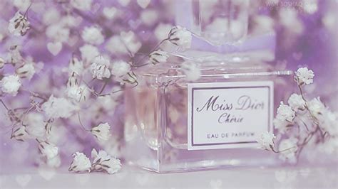 christian dior desktop wallpaper|dior miss background.